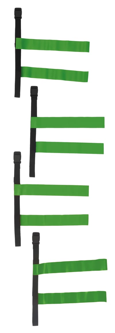 Tag Belt