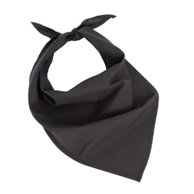 Fiesta - Bandana